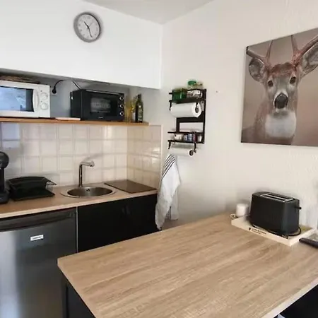 Apartment With Balcony And View In Sauze
